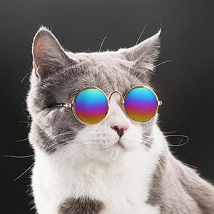 The Groovy Cat Glasses