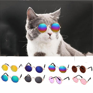 The Groovy Cat Glasses